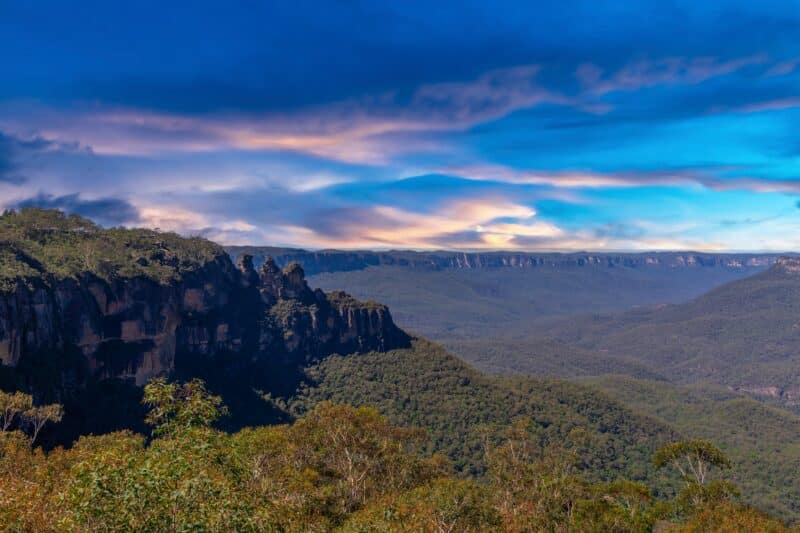 Termites Pest Control in the Blue Mountains