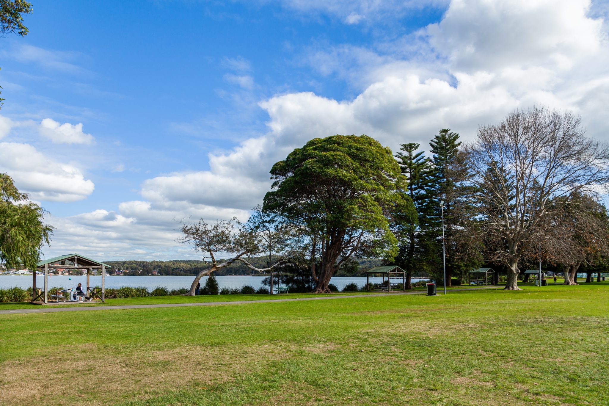 Picnic Point Termite Pest Control