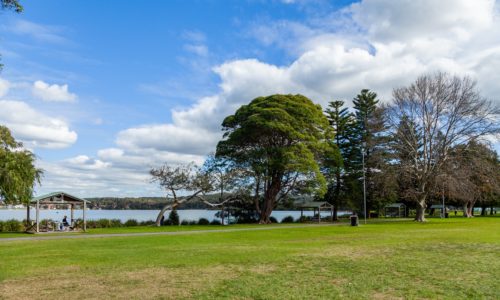 Picnic Point Pest Control