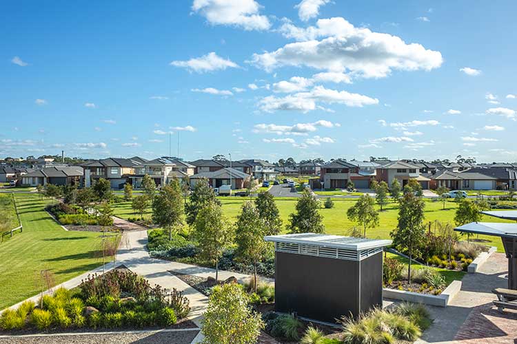 Point Cook Pest Control Local Pest Exterminator