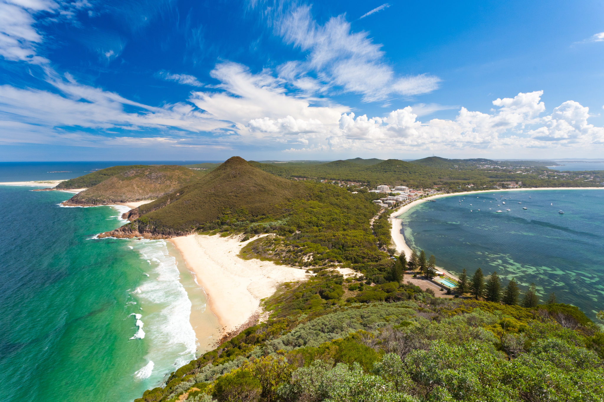 Rodent pest control Port Stephens