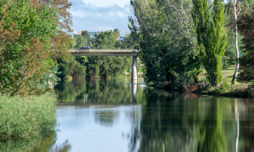 Queanbeyan Pest Control