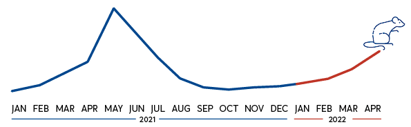 SMART shows increase in rodent activity from 2021 - 2022