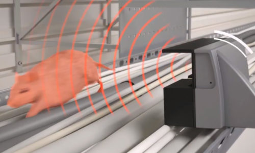 A SMART Eye detects a rodent on a cable tray.