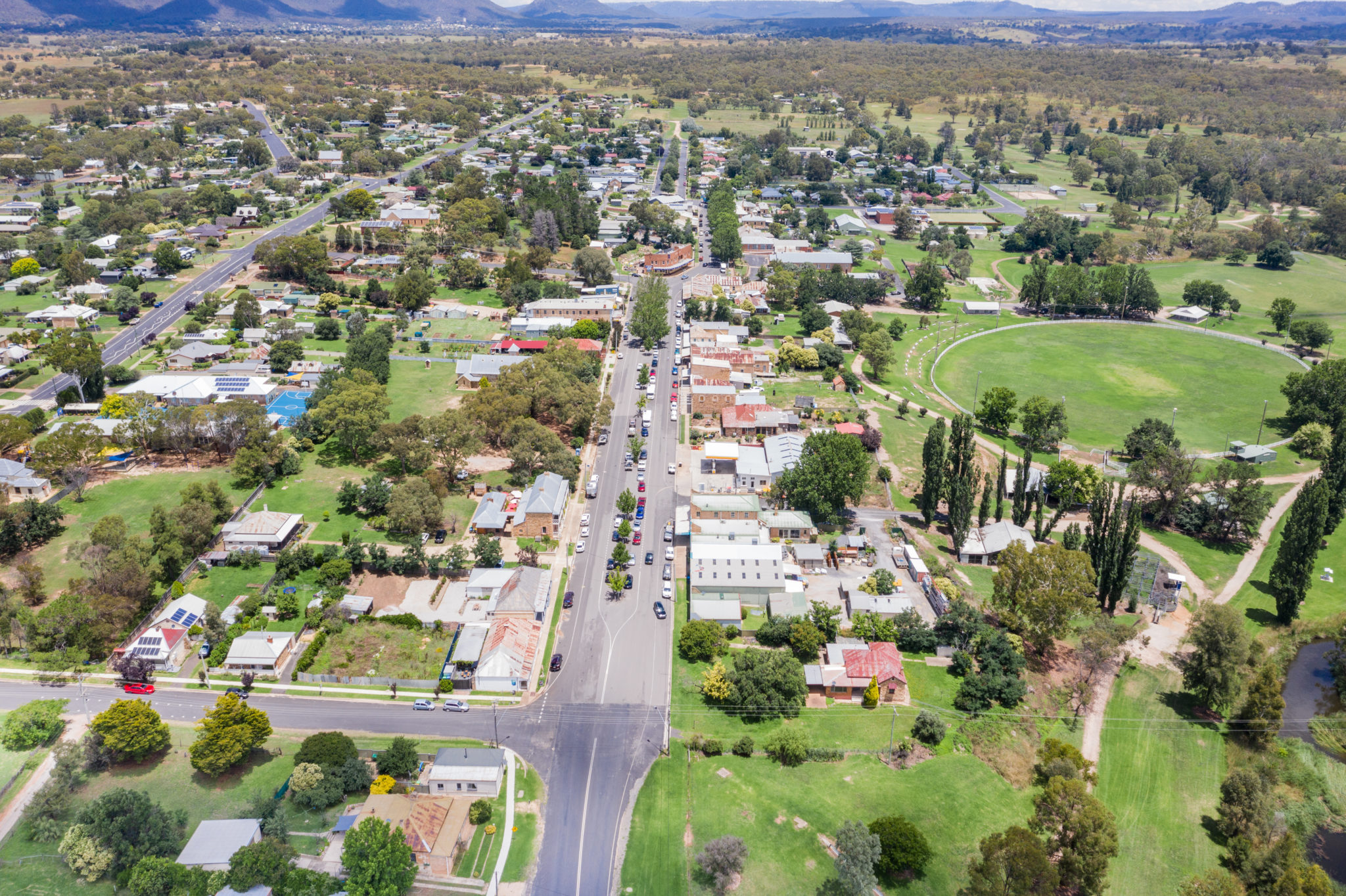 Rodent pest control Rylstone