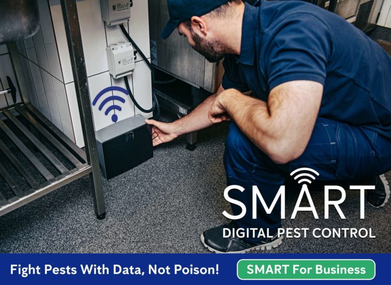 SMART Digital Pest Control ad