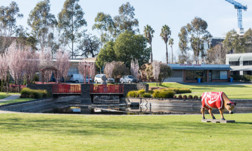 Shepparton Pest Control