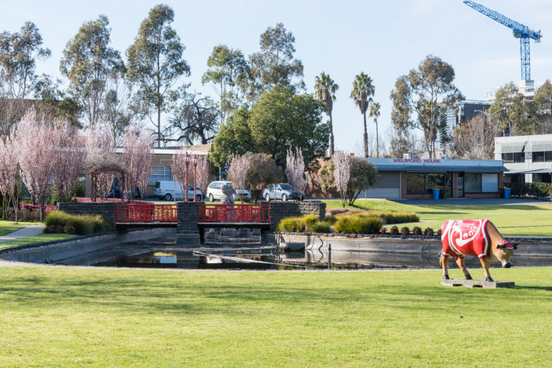 Shepparton Pest Control