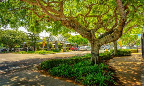 Shopping Steet in Wellington Point