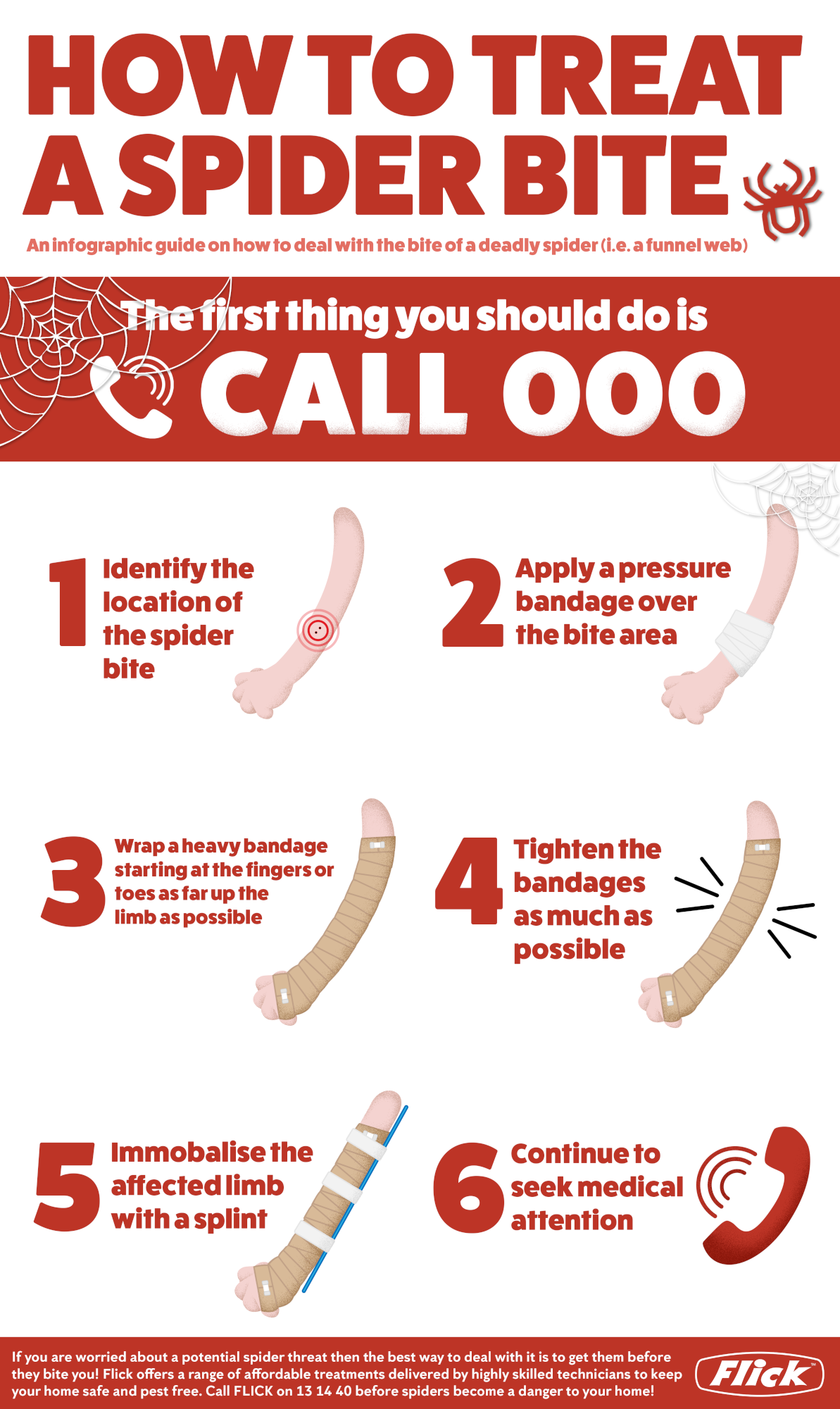 How to treat a spider bite infographic