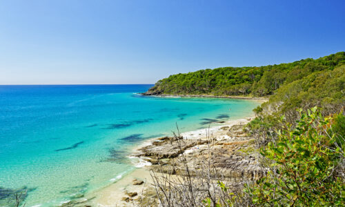 Sunshine Beach Pest Control