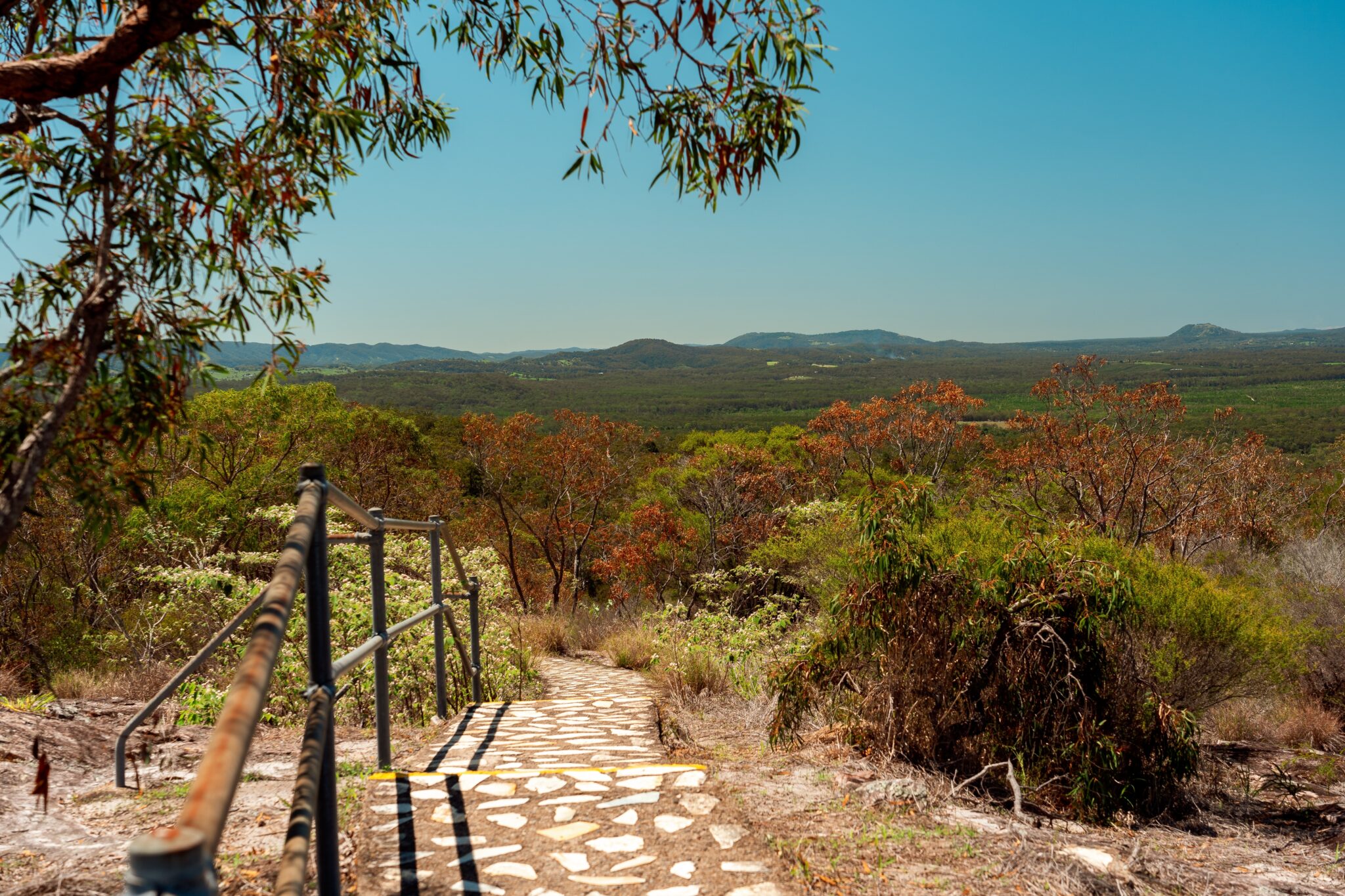Tewantin Pest Control Termite, Rodent & Cockroach Treatment