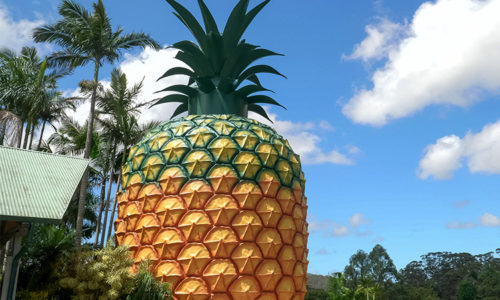 The Big Pineapple at Nambour