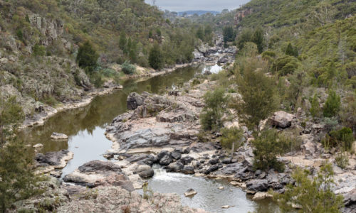 Tuggeranong Pest Control