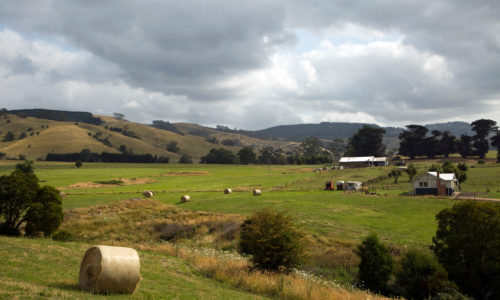 Warragul Pest Control