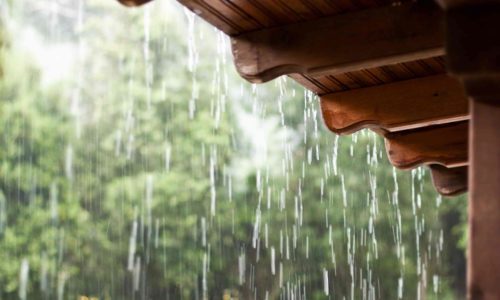 Rain