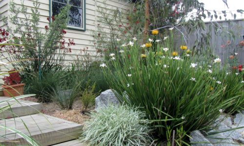 Spider Proof Backyard
