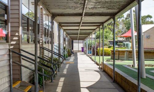 Why Aussie Schools Are Shifting To Health-First Pest Management