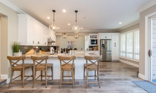 Kitchen Pest Control Plan