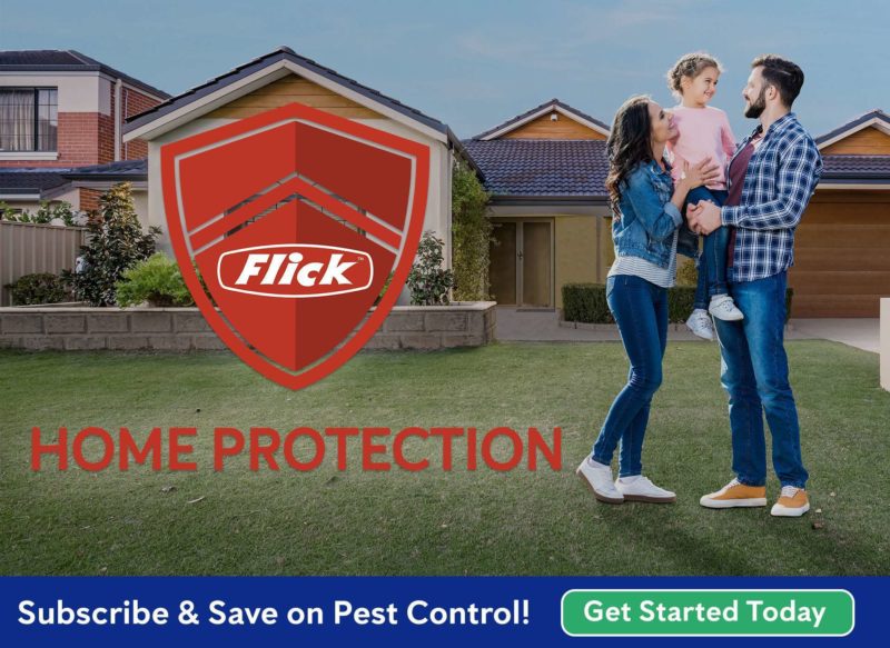 Flick Home ad