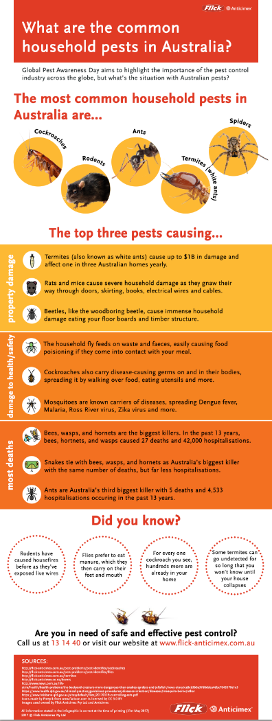 What are the common household pests in Australia?