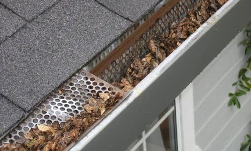 A gutter filled with leaves