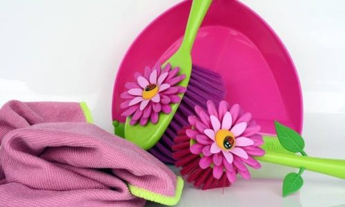 Flower Brush and Dustpan