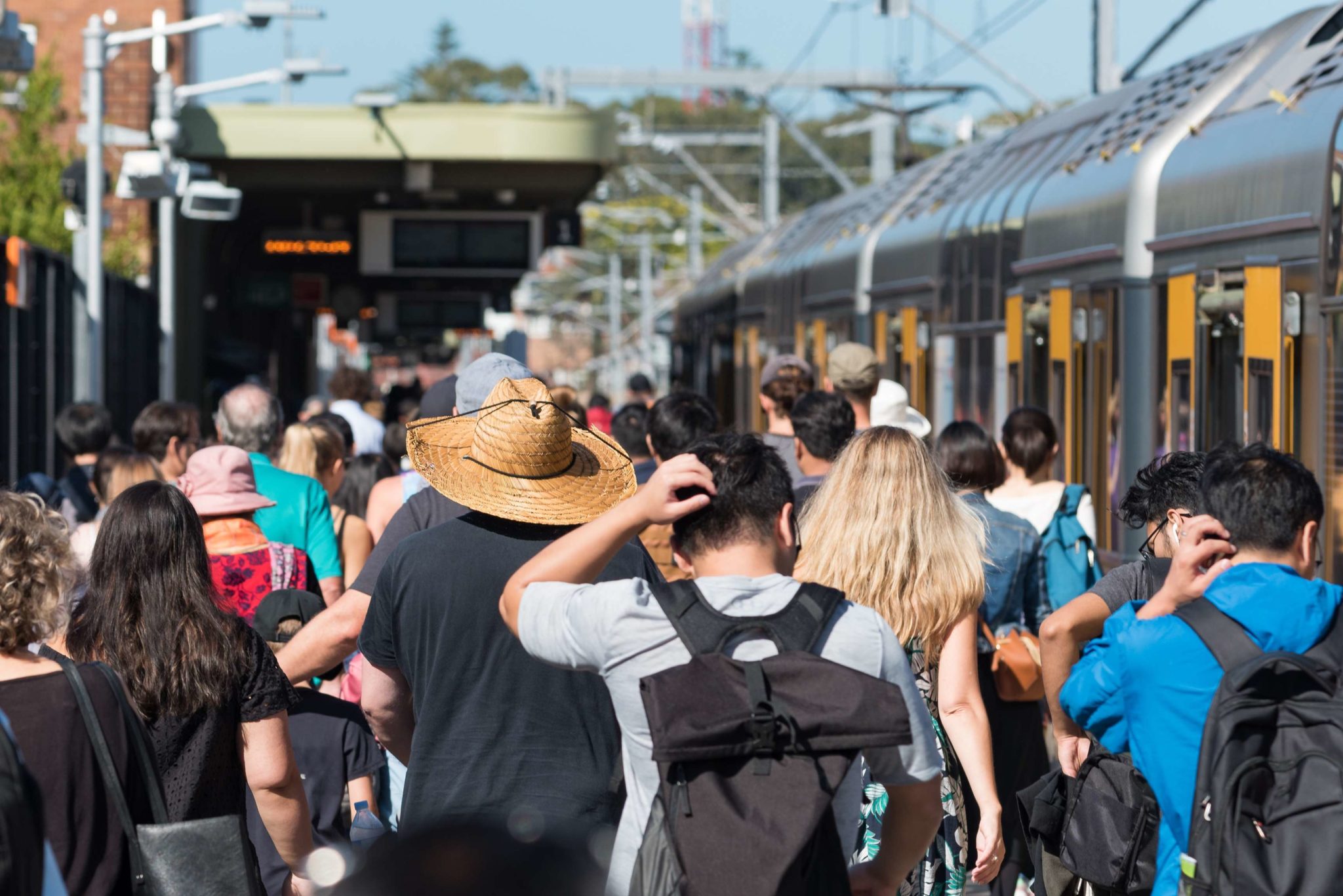 pest control in public transport shelters