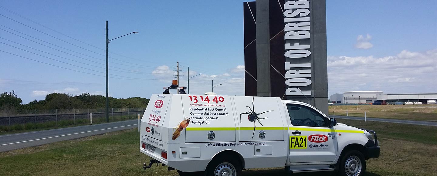 Flick Pest Control Services Brisbane Professional Pest Exterminator