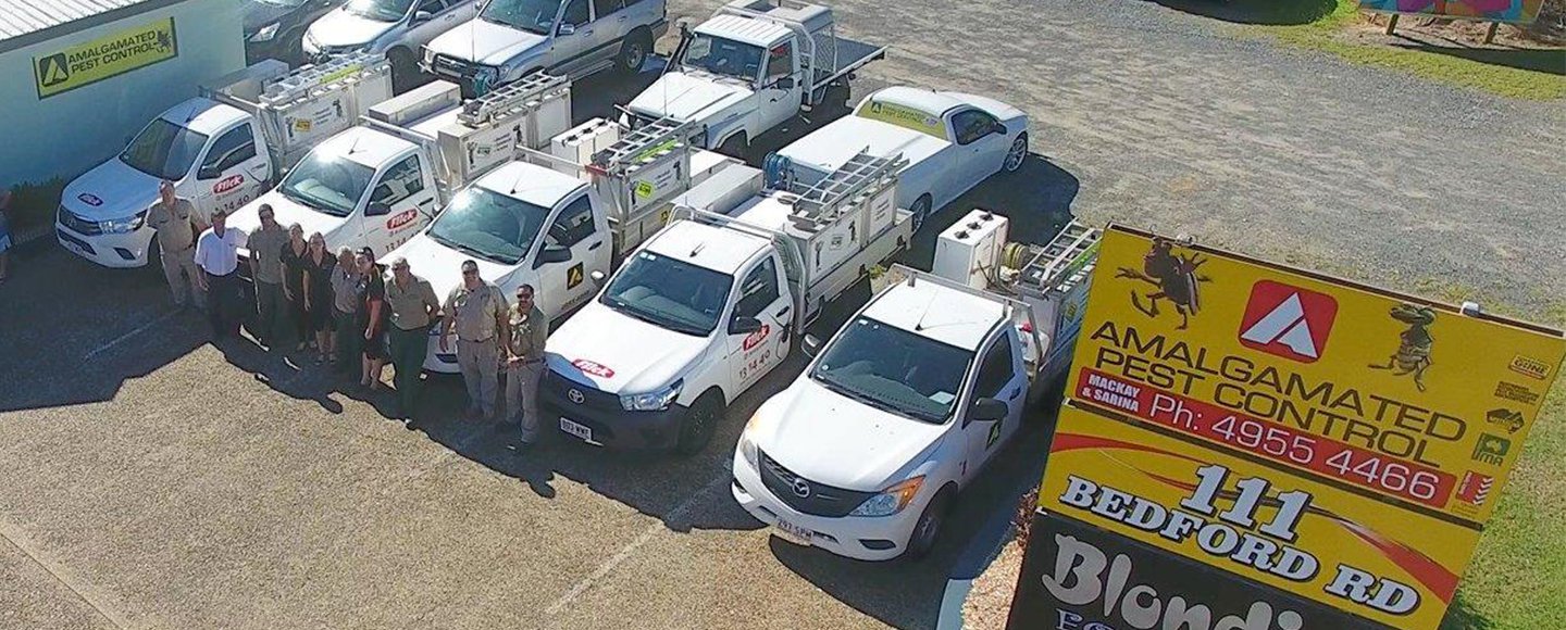 Flick Pest Control Services Mackay Professional Pest Exterminator