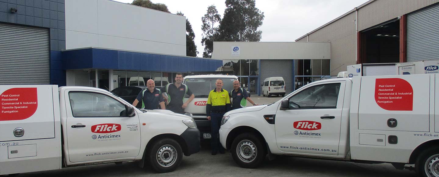 Flick Pest Control Melbourne Professional Termite Treatment