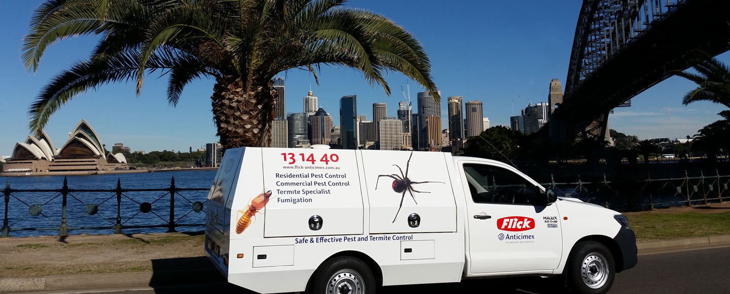 Flick Pest Control Services Sydney Professional Pest Exterminator