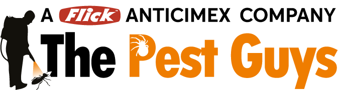 Pest Guys Logo