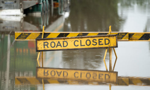 How Floods Increase Pest Activity
