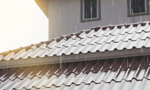 Summer Pest Control Treatment