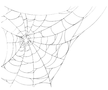 Spider Web