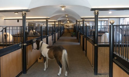 Horse Stable